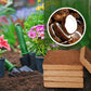 🌱2025 Hete verkoop - 50% korting🌱Biologische Kokosnoot Coir voor Planten