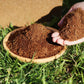 🌱2025 Hete verkoop - 50% korting🌱Biologische Kokosnoot Coir voor Planten