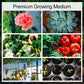 🌱2025 Hete verkoop - 50% korting🌱Biologische Kokosnoot Coir voor Planten