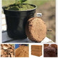 🌱2025 Hete verkoop - 50% korting🌱Biologische Kokosnoot Coir voor Planten