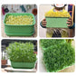 Stapelbare bonenknolteeltbox - Multilaags ontwerp, ideaal voor tuinieren thuis, gezonde groene levensstijl!
