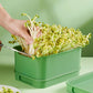 Stapelbare bonenknolteeltbox - Multilaags ontwerp, ideaal voor tuinieren thuis, gezonde groene levensstijl!