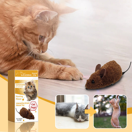 🐱🐶Speelgoedmuis voor Katten en Honden