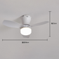 Afstandsbediening LED Plafondventilator met Lamp