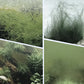 🔥Hot Sale🔥Krachtige waterzuiveraar voor aquari