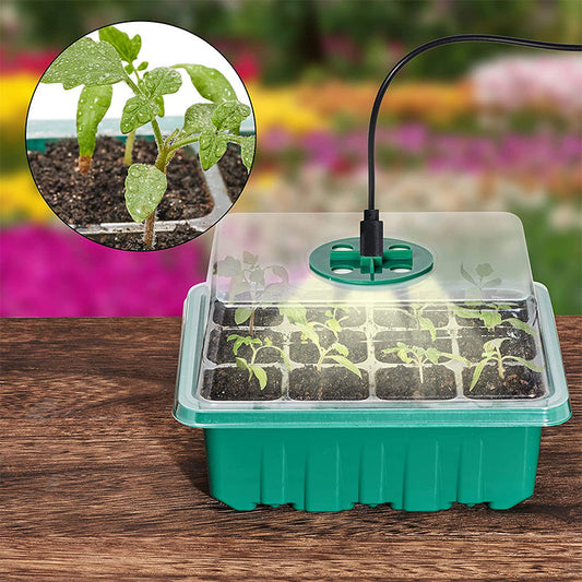 💎50% KORTING! 💎 Kweekbakken met groeilamp – Vochtregulatie, transparant en volspectrum licht 🌱💡