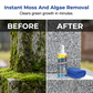 🪦 Reinigingsspray voor Grafstenen – Verwijdert Mos, Algen en Gele Vlekken – Zacht voor Alle Steensoorten ✨🪨