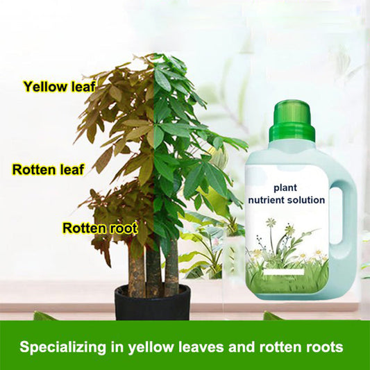 💚 Complete plantenvoeding – bevordert wortelgroei, verbetert bodemkwaliteit & stimuleert groei